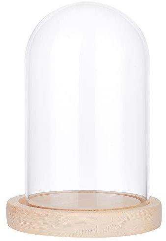 nbeads Cloche Dôme en Verre à Fleurs Éternelles, Rose Eternelle sous Cloche Fleur Eternelle Dôme en Verre Coffret Cadeau Carte de Voeux pour Fête des Mères Saint-Valentin Noël Mariage, Couleur du Blé