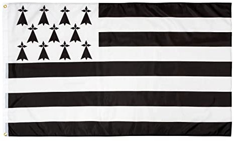 PHENO FLAGS Bandiera della Bretagna - Bandiera bretone 90x150 cm con occhielli in ottone - Bandiera resistente alle intemperie per asta della bandiera - 100% poliestere