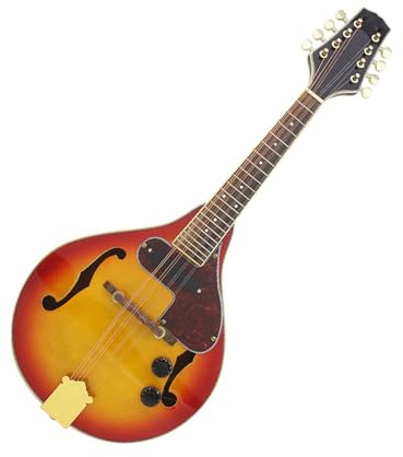 Mandolinen-Instrumentensatz Elektrische Mandoline Tibetisches Musikinstrument Mandoline Achtsaitiges Instrument