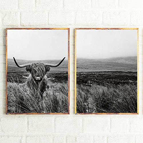 AdoDecor Cuadros y láminas Animal de granja de vacas de las tierras altas Póster Posters para pared Cuadro Vaca Escocesa Blanco Negro Cuadros decoracion dormitorio salon modernos(Sin marco)