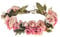 Merroyal Green Flower Crown Eucalyptus Crown Leaf Floral Crown Boho Wedding (Pink Green)