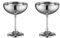 HOTENEAIRE Stainless Steel Martini Glasses Cocktail Coupe Glasses Wine Goblet Ice Cream Bowl Dessert Bowl Metal Pudding Cups Salad Dessert Holder for Home Kitchen 270ml (Silver)