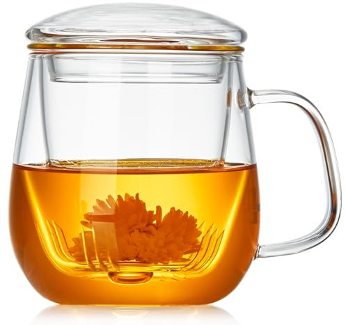Glass Tea Cup with Infuser and Lid 500ml – Heat-Resistant Borosilicate Glass, Tea Infuser Mug for Loose Leaf, Stovetop Safe