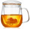Glass Tea Cup with Infuser and Lid 500ml – Heat-Resistant Borosilicate Glass, Tea Infuser Mug for Loose Leaf, Stovetop Safe
