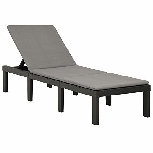 MOONAIRY Sonnenliege mit Auflage, Gartenliege, Liegestuhl, Sonnenstuhl, Sonneninsel Outdoor, Liegen, Gartenmöbel, Bäderliege, Relaxliege,Kunststoff Anthrazit
