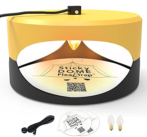 ASPECTEK Klebefalle gegen Flöhe und Bettwanzen, mit 2 Klebescheiben, geruchlos, sicher für Kinder und Haustiere, gelb und dunkelgrau