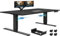 Airfish Höhenverstellbarer Schreibtisch Dual-Motor 200x80cm Schreibtisch Höhenverstellbar Elektrisch mit Touchscreen, Kabel Management Tray und Type-C Standing Desk,Schwarz