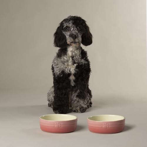 Scruffs Ombre 2pc Ceramic Dog Bowl Set - Pink 15cm