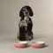 Scruffs Ombre 2pc Ceramic Dog Bowl Set - Pink 15cm