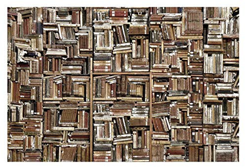 Vliestapete Shabby Bücherwand Premium, HxB: 290cm x 432cm