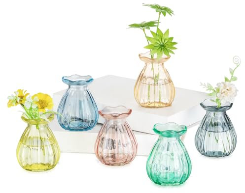 Glasseam Glas Kleine Vasen für Tischdeko: 6 Stück Bunte Vase Klein für Home Wohnzimmer Party Hochzeit Tisch Deko - Aesthetic Blumenvase Modern für Blumen Bud Pflanzen