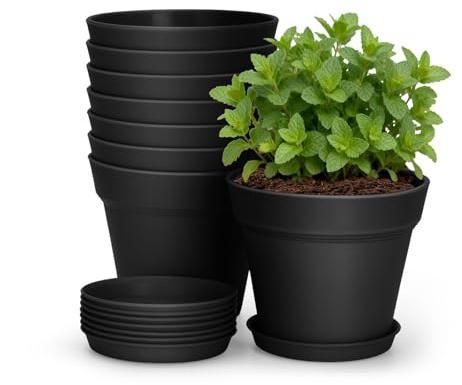 KINGLAKE 8 Pièces 10CM Pots Plastique Plantes Petite, Cache Pot Interieur Exterieur, Pot de Fleur Décoratifs Modernes, avec Plateaux et Trou de Drainage, pour Semis, Succulentes, Herbes -Noir