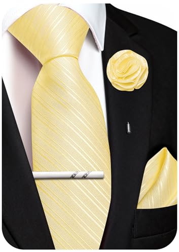 Ailisus Krawatte Herren Set Streifen Seiden Krawatte mit Einstecktuch Ansteckblume Krawattenklammer für Hochzeit Party 4PCS