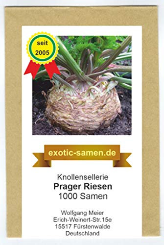 Knollensellerie - Prager Riesen - 1000 Samen