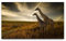 Bilder XXL Giraffen im Sonnenuntergang 120x70cm Wandbild auf Leinwand