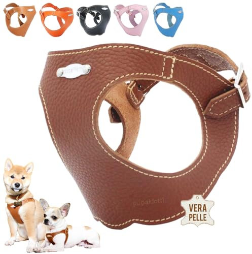 PUPAKIOTTI Brustgeschirr für kleine und mittelgroße Hunde, Leder-Hundegeschirr, ergonomisch und verstellbar, verfügbar Handgemacht in Italie (XL-XXL, Braun)
