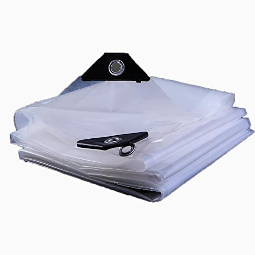 HMCUIQI Telo Occhiellato Trasparente PVC 6x10m, Telone Telo Copertura Impermeabile Trasparente, Plastica, Trasparente, Serra, per Coprire, Proteggere, Telone per Barche (6x10m)