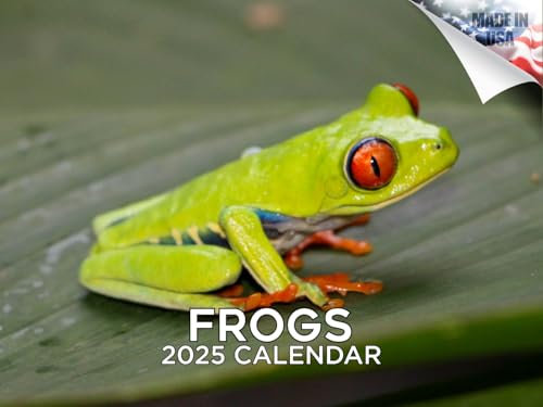 2024 2025 Frogs – Reptilien-Wandkalender – 30,5 x 45,7 cm offen – dickes Papier ohne Auslaufen – Geschenk – akademischer Lehrerplaner Kalender Organisieren und Planen