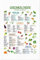 JUNIWORDS Poster, Saisonkalender, 20 x 30 cm