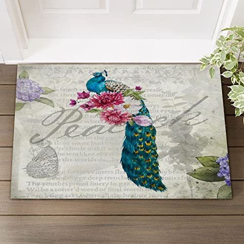 French Elegant Style Retro Words with Colored Feathers Coir Door Mat Retro Peacock Natural Coir Doormat with Heavy-Duty Welcome Mats for Porch Patio Front Door Entrance Apartment Housewarming Farmhous