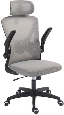 Panana Office Chair Mesh Back Ergonomic Desk Chair with Flip-up Armrest Executive Swivel Computer Chair (High Back Dark Grey)