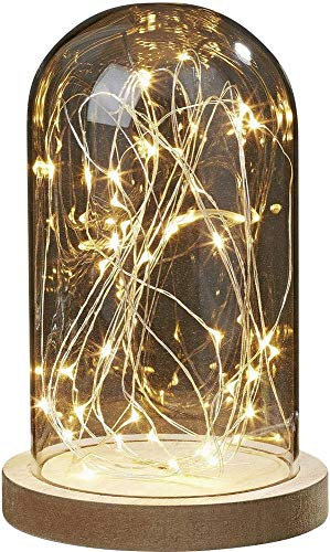 hellum Glasglocke mit Lichterkette warmweiß 30 LEDs, Glasglocke mit Holzboden Höhe 19,5cm Ø12cm, Deko batteriebetrieben (nicht inklusive) mit Timer Valentinstag Dekoration 523713