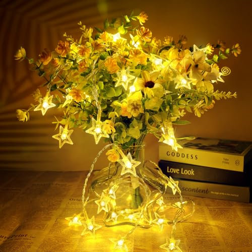 AUAUY Warmweiße Sterne Lichterkette, 6M/19.7ft 40 LED Batteriebetriebene Lichterkette, Weihnachts Lichterkette, 2 Modi Wasserdichte für Innen-Außen-Hochzeitsfeier Neujahr Garten Weihnachtsdekoration