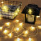 AUAUY Luci Stringa Stella, 6M 40 LED Catena Luminosa a Batteria Luci Stringa Natalizie Decorazione, per Natale Matrimonio Compleanno Festa Fecorazione Interna ed Esterna (Bianco Caldo)