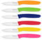 targzier Gemüsemesser 6er Set, buntes Küchenmesser-Set, ultrascharfes Obstmesser aus Edelstahl, gerades Schälmesser, rostfrei Küchenmesser, spülmaschinenfest