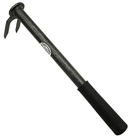 Dewit Hachoir de Jardin Professionnel en Acier boréal avec 2 Dents de 35 cm I Accessoire de Jardin de qualité supérieure I pour enlever Les Mauvaises Herbes et desserrer Le Sol I Fabriqué en Holland