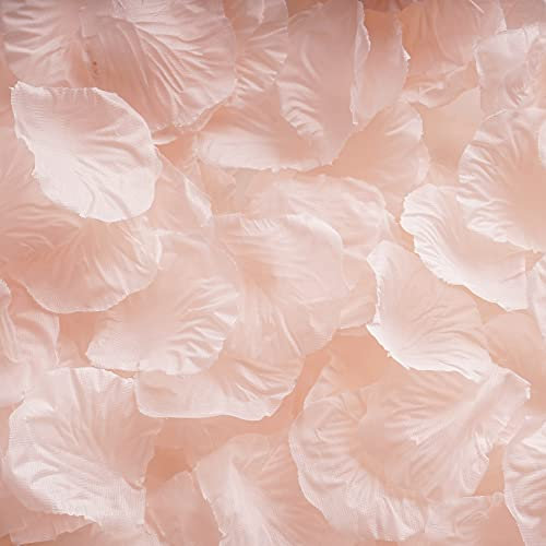RUIYWEN 1000 Pezzi di Petali di Rosa in Seta Artificiale Color Champagne per San Valentino, Fiori per Matrimoni, Coriandoli, Spargimento da Tavola