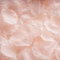 RUIYWEN 1000 Pezzi di Petali di Rosa in Seta Artificiale Color Champagne per San Valentino, Fiori per Matrimoni, Coriandoli, Spargimento da Tavola