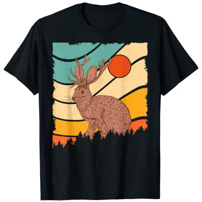 Jackrabbit Desert Sunset Mountain Cactus Sunshine Jackalope T-Shirt