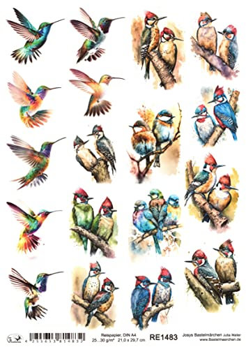 Josys Bastelmärchen Reispapier A4 Strohseide Decoupage Bunte Vögel Kolibri Specht RE1483