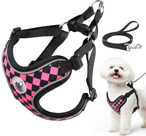 Pettorina Cane Taglia Piccola, Step-in Pettorina Anti-tiro per Cuccioli Gatti con Guinzaglio, Regolabile Riflettente Traspirante Imbracatura Cane Morbida per Passeggiate Corsa (Rosa L)