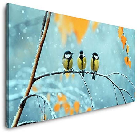 Vögel auf einem Ast 120x 60cm Panorama Leinwand Bild XXL Format Wandbilder Wohnzimmer Wohnung Deko Kunstdrucke