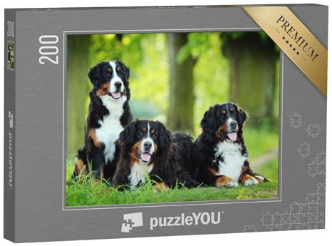 puzzleYOU: Puzzle 200 Teile „EIN Berner Sennenhund“ – aus der Puzzle-Kollektion Hunde, Berner Sennenhund