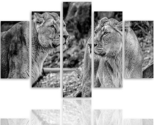 Feeby Tableau moderne adhésif animaux 5 panneaux décoratifs muraux Afrique noir et blanc 150x100 cm