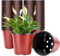 Zhiyu666 100 Pack 9cm Plants Nursery Pots,Reusable Plastic Terracotta Bucket Herb Flower Pots Planter Seed Trays for Vegetables,Flowers,Herbs,Cuttings, Succulent