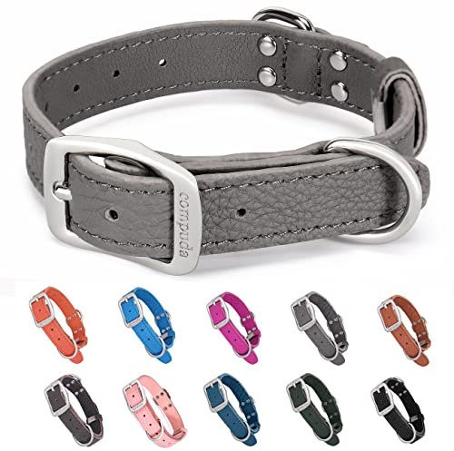 Compuda Hundehalsband aus Leder, verstellbar, langlebig, robust, geruchshemmend, Echtleder, Hundehalsbänder für kleine, mittelgroße und große Hunde, Grau, Größe L