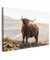 MuchoWow© Leinwandbild Groß 120x80 cm XXL Dekoration Wohnzimmer Bilder Aufhängen Wall Decoration Living Room Wohnungs Deko Moderne Schottisches Hochlandrind - Highland Cow - Tiere - Landschaft - Kuh