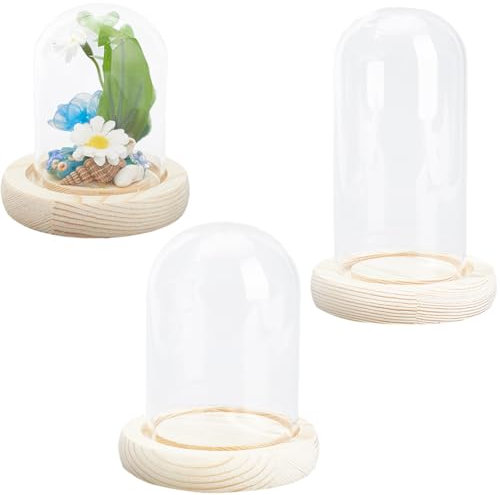 SUNNYCLUE 3 Tailles Cloche Dôme en Verre Cloche en Verre Dôme D'Affichage Dôme en Verre Transparent avec Base en Bois Couvercle de Dôme en Verre Pot de Cloche en Verre Bouteilles D'Affichage en Verre