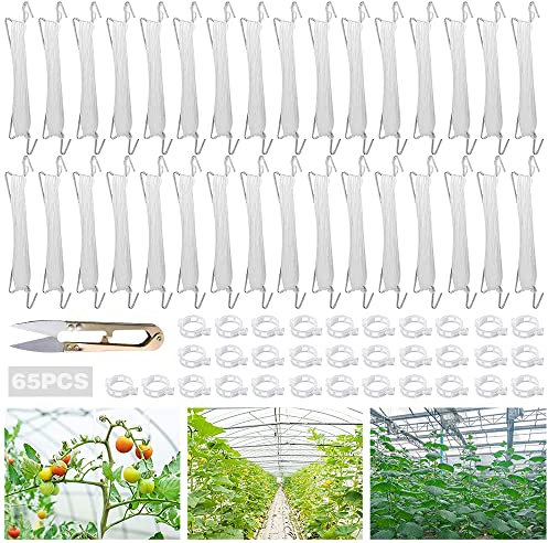 TUIBEIDAMAI Tomatenhaken mit Schnur,32 Stück Tomatenhaken Metall mit 32 Pflanzenschnalle und 15m Seil,Garden Tomato Hooks,für Hängende Tomaten und Gurken.