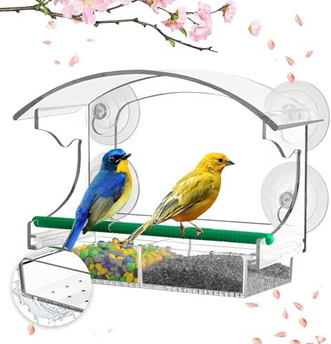 WIYETY Mangeoire de fenêtre pour oiseaux : fenêtre transparente nourriture pour oiseaux avec ventouses et trous de drainage, maison d'oiseau avec mangeoire amovible, mangeoire fenêtre