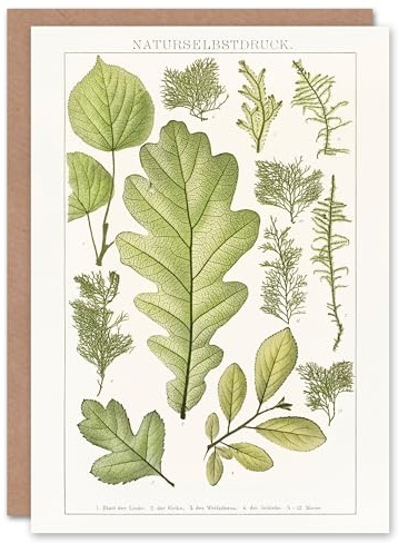 Artery8 Brockhaus Lexikon Art Card Plant Lover Botanical Leaves