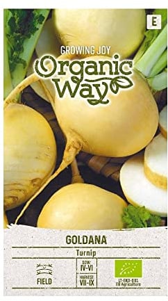 Organic Way | SPEISERÜBE GOLDANA samen| Gemüsesamen | Pflanze samen | Speiserübe samen | Gardensamen | 1 Pack
