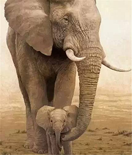 YEESAM ART Peinture Numero Elephant, Bricolage Peinture par Numero 40x50 cm Acrylique Decoration Murale (l'éléphant, avec cadre)