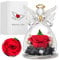 ELEUTH Geschenke für Frauen,Muttertagsgeschenke für Mama Konservierte Blume Rosen in Glas Engel Geburtstagsgeschenk für Sie,Engel Rose Figuren Geschenk für Valentinstag Muttertag Jahrestag