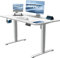 JUMMICO Höhenverstellbarer Schreibtisch mit USB-Ladeanschluss,Schreibtisch Höhenverstellbar Elektrisch, Steh-Sitz Tisch Stehpult Verstellbarer Computertisch,Standing Desk,100 x 60 cm, Gray