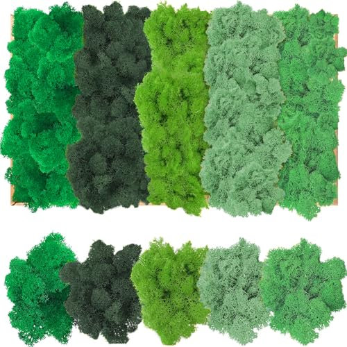 Islandmoos zum Basteln, künstliches moos, kunstmoos zum dekorieren, kunstmoos zum basteln, Moosbild Modellbau Kunst Moos Natur konserviertes für Deko, Moosbild basteln (Fünf Farben-200g)